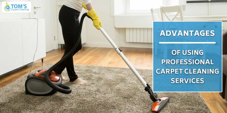 The Importance of Hiring a Professional Carpet Cleaner